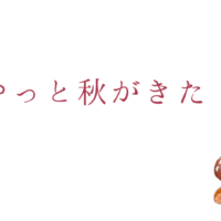 やっと秋が来た