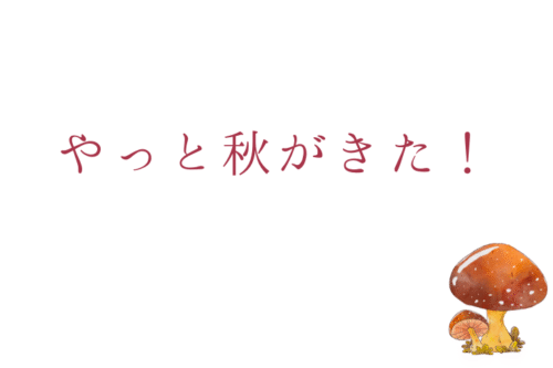 やっと秋が来た