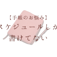 手帳のお悩み スケジュールしか書けてない