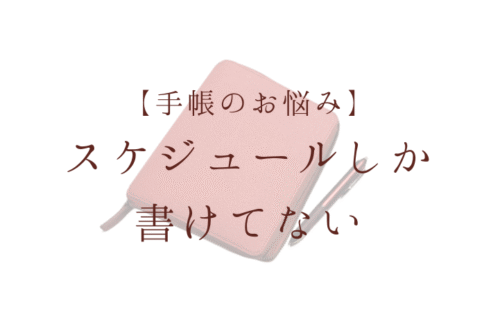 手帳のお悩み スケジュールしか書けてない