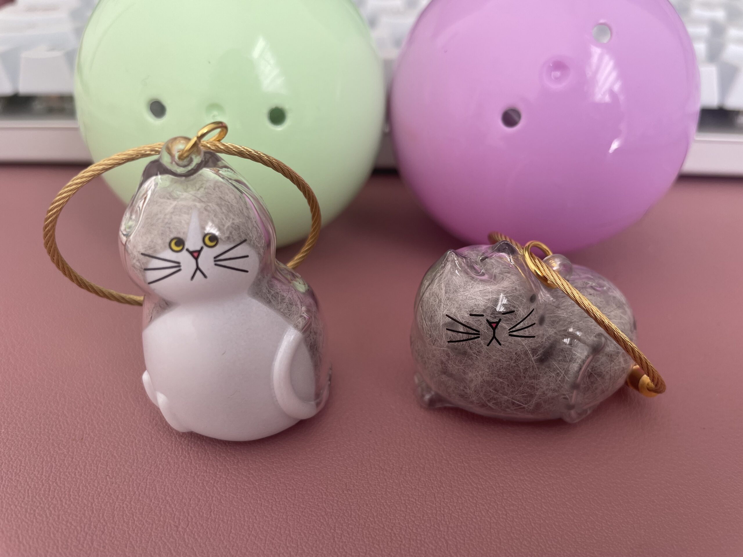 うちの子のけだまだま