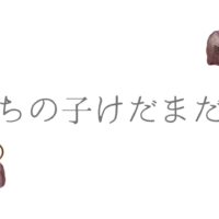 うちの子けだまだま